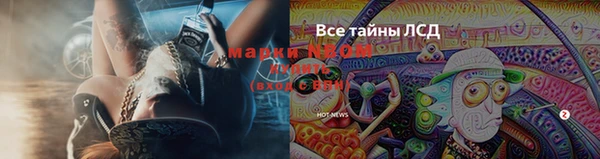 PSILOCYBIN Касимов