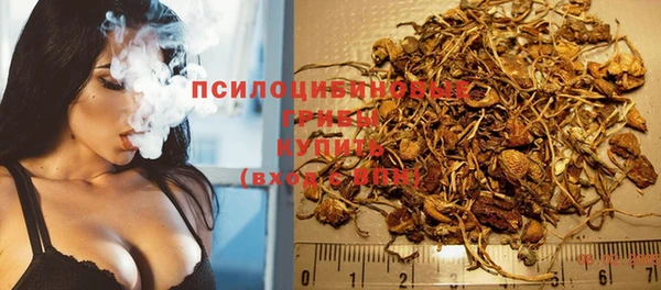 шишки Карталы