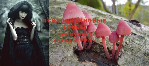 PSILOCYBIN Касимов